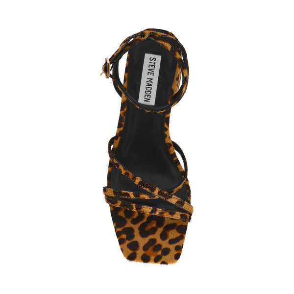 GABBY-L LEOPARD